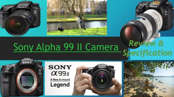 Sony alpha 99 II camera Specifications
