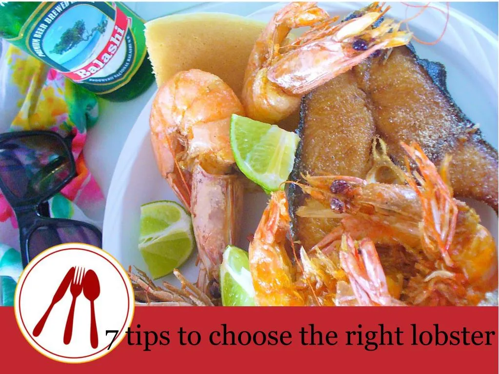7 tips to choose the right lobster