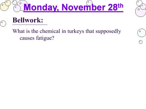 Monday, November 28th