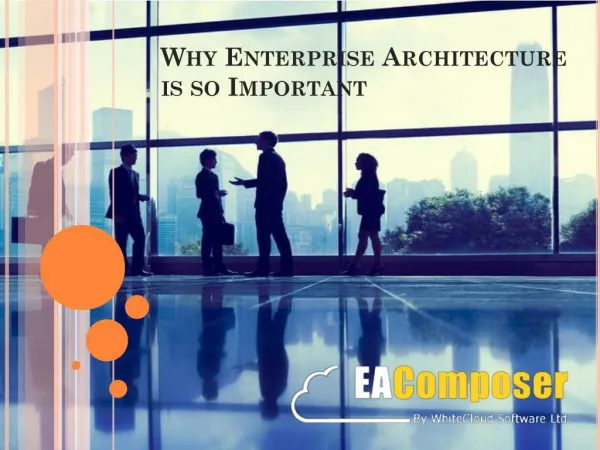 What is the importance of Enterprise Architecture?
