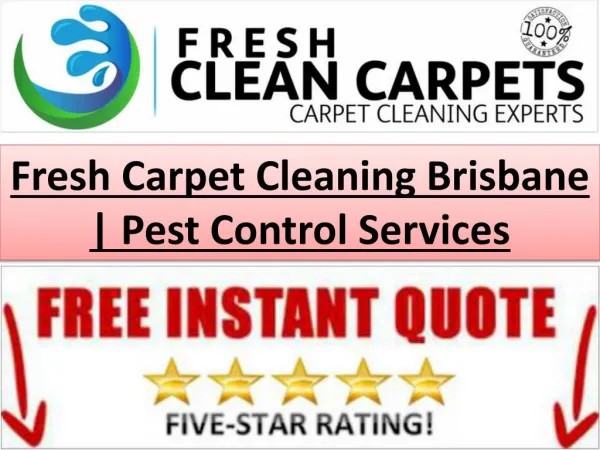 Fresh Carpet Cleaning Brisbane | Pest Control Services