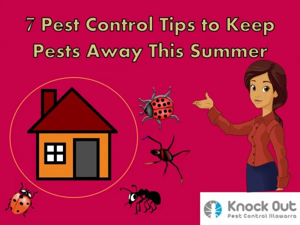 7 Pest Control Tips to Keep Pests Away This Summer