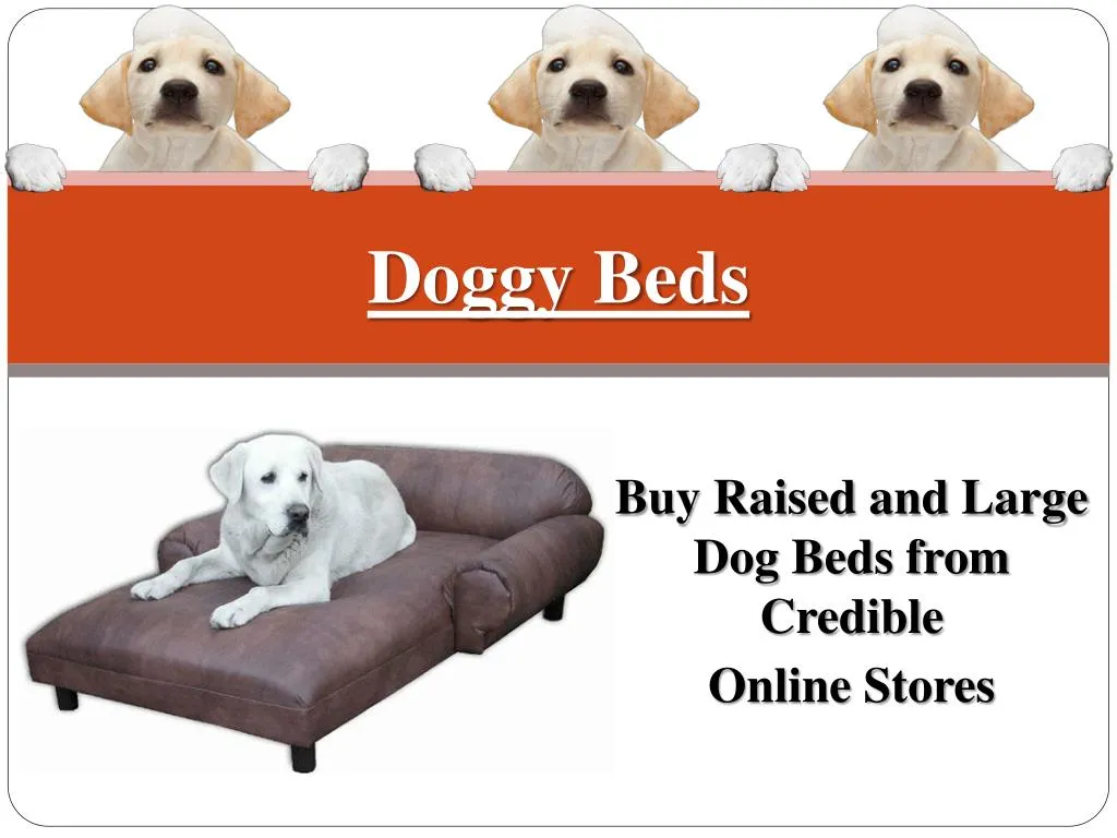 doggy beds