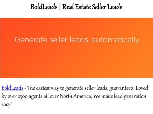 Bold Leads Reviews - How to Generate Real Estate Seller Leads