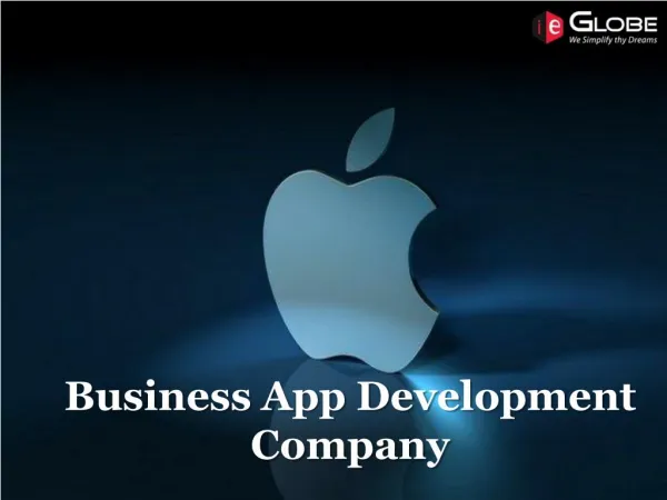 Enterprise Application Development Chicago