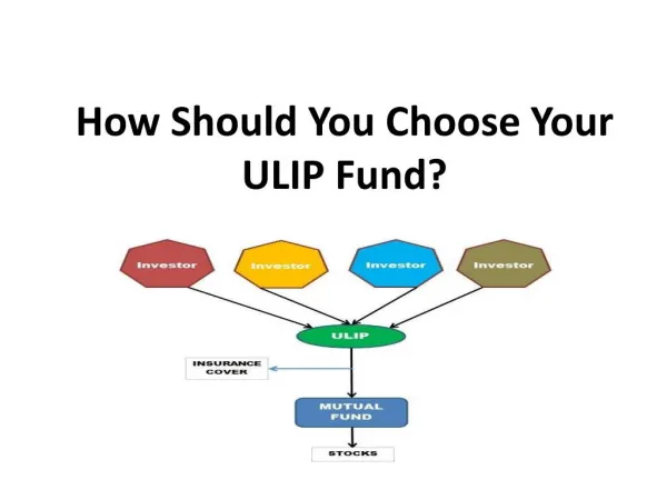 How Should You Choose Your ULIP Fund?