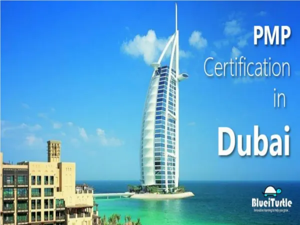 Best PMP Training Available in Dubai at Blueiturtle
