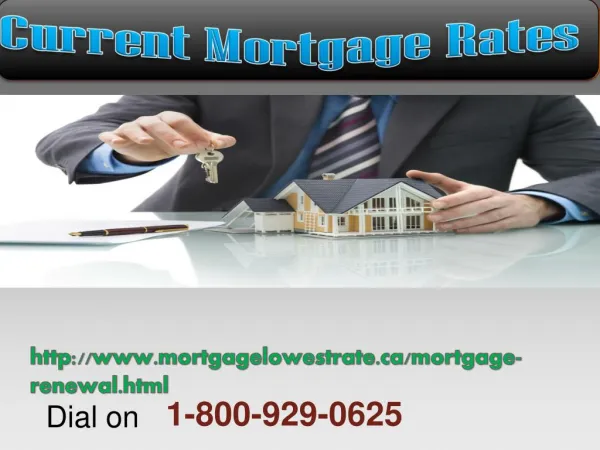 Reply on the best 1-800-929-0625 Current Mortgage Rates