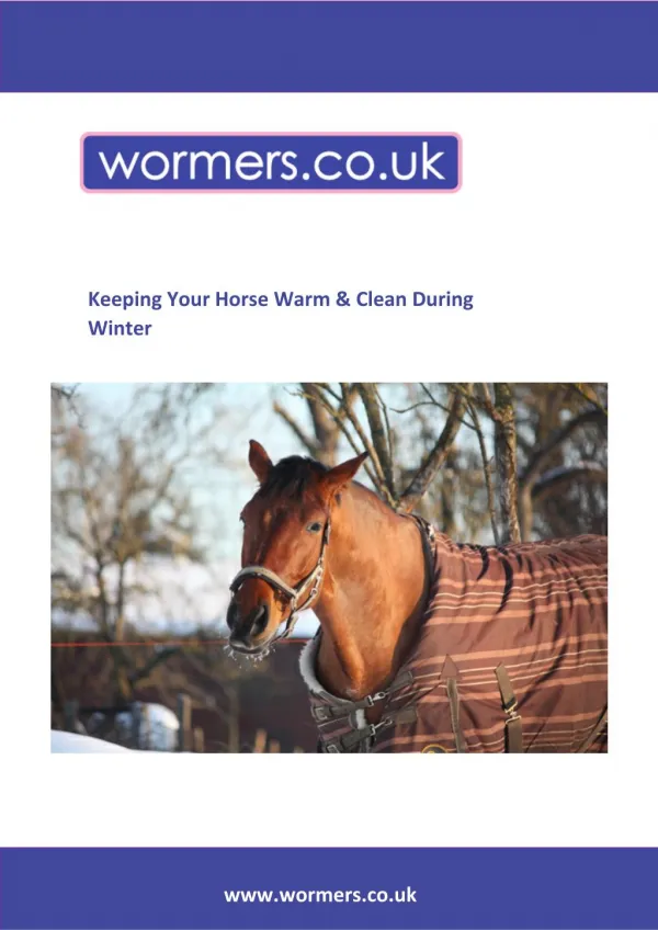 Keeping Your Horse Warm & Clean During Winter