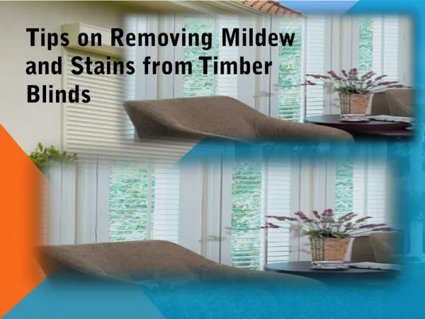 Tips on Removing Mildew and Stains from Timber Blinds