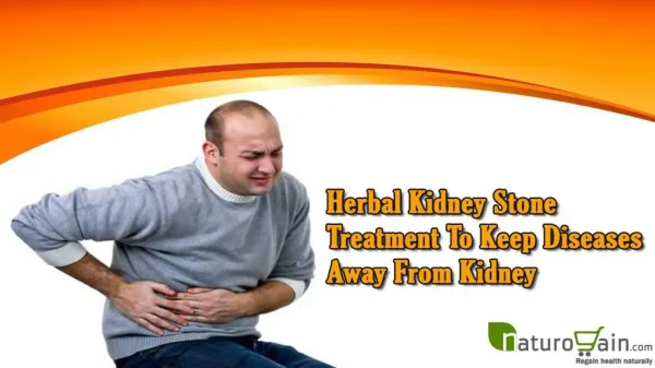 Herbal Kidney Stone Treatment To Keep Diseases Away From Kidney