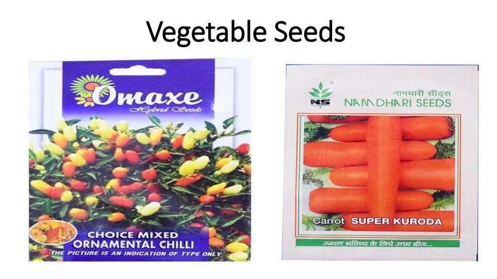 vegetable seeds