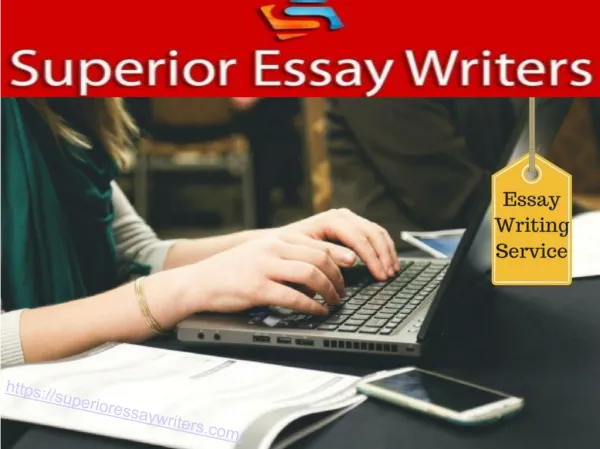 Guide To Different Kinds Of Essay Writing Service