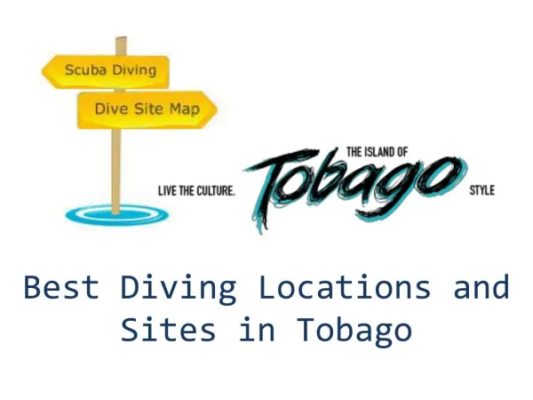 Best Diving Locations and Dive Sites in Tobago