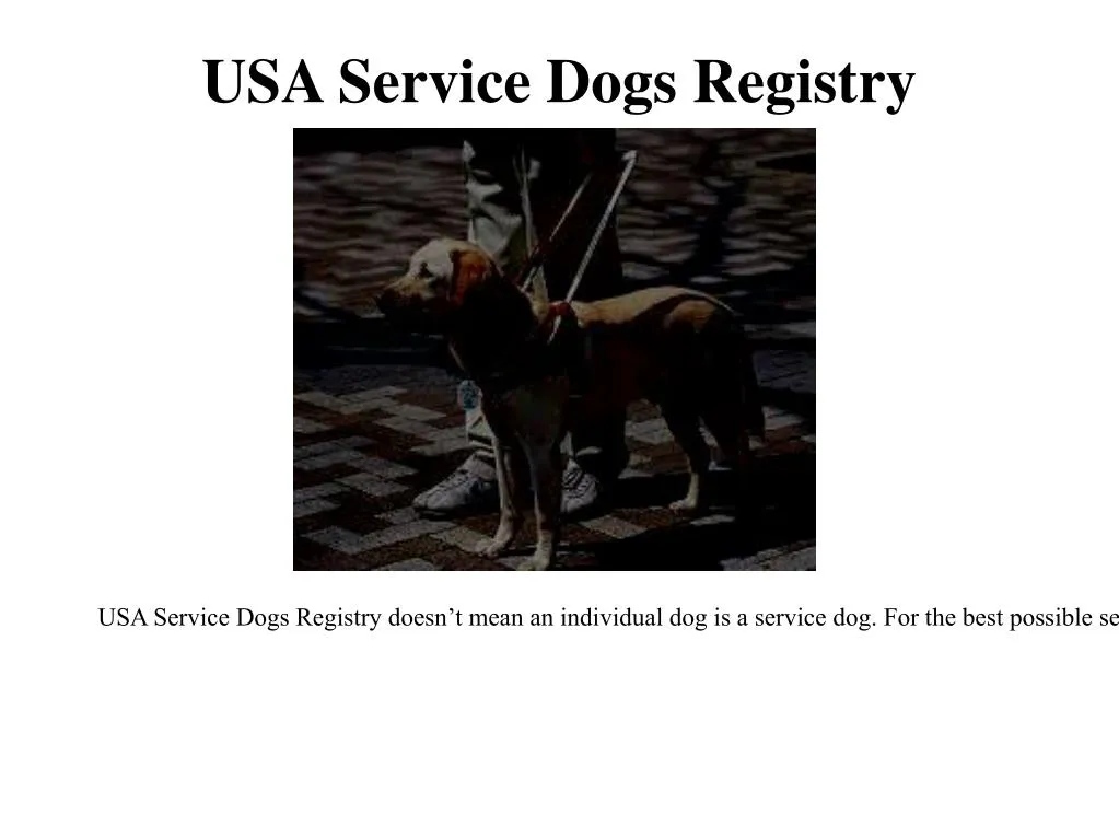 usa service dogs registry