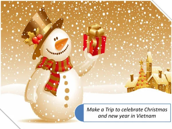 Make a Trip to celebrate Christmas and new year in Vietnam.