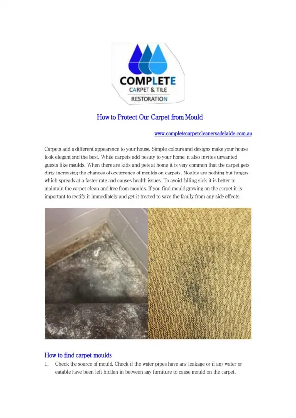 How to Protect Our Carpet from Mould