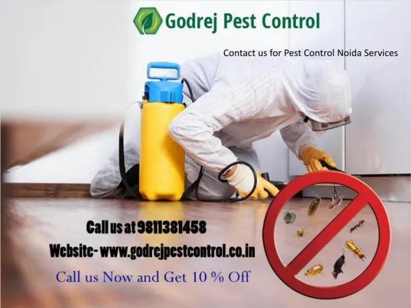 Contact us for Pest Control Noida Services - 9811381458