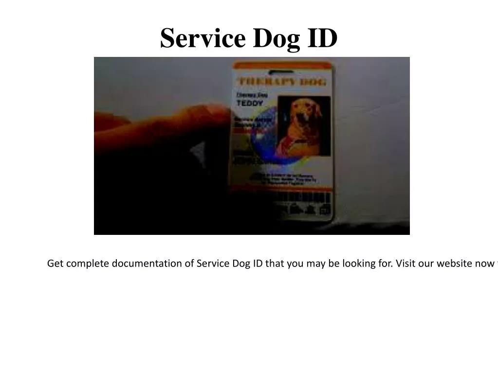 service dog id