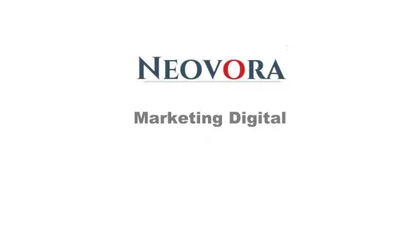 Neovora Brasil Marketing Digital