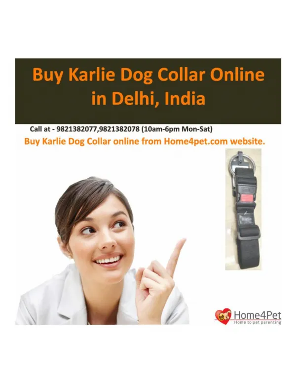 Buy Karlie Dog Collar Online in Delhi, India