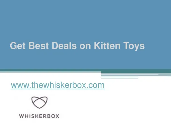 Get Best Deals on Kitten Toys - www.thewhiskerbox.com