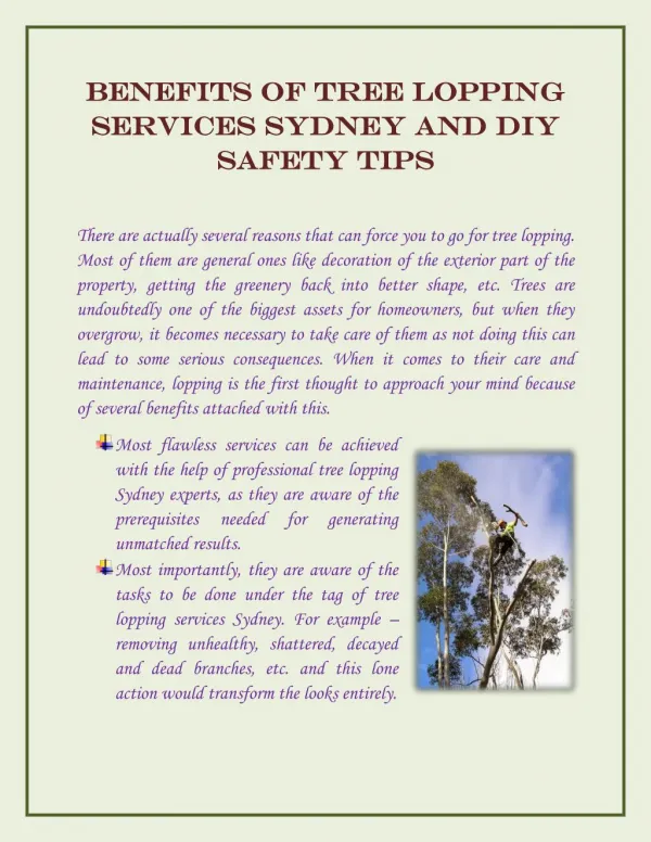 Benefits of Tree Lopping Services Sydney and DIY Safety Tips