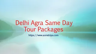 Delhi Agra Same Day Tour Packages