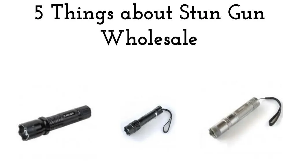 5 things about stun gun w holesale