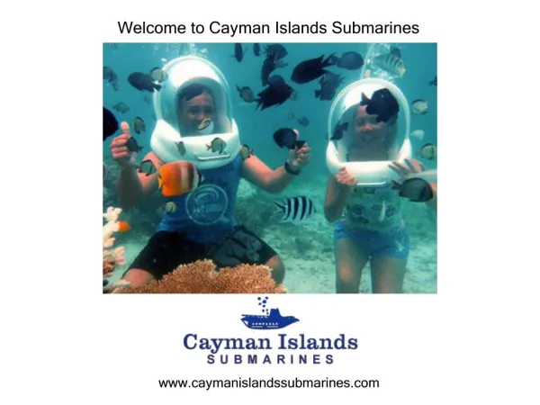 Best Options to Scuba Diving in the Cayman Islands.