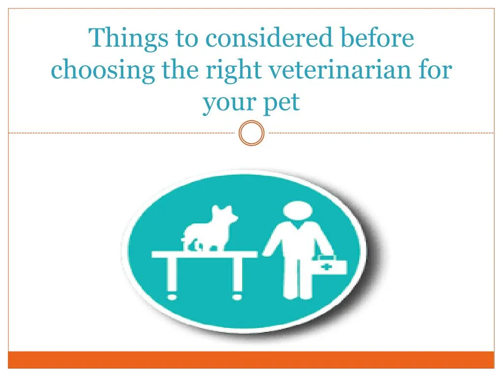 things to considered before choosing the right veterinarian for your pet