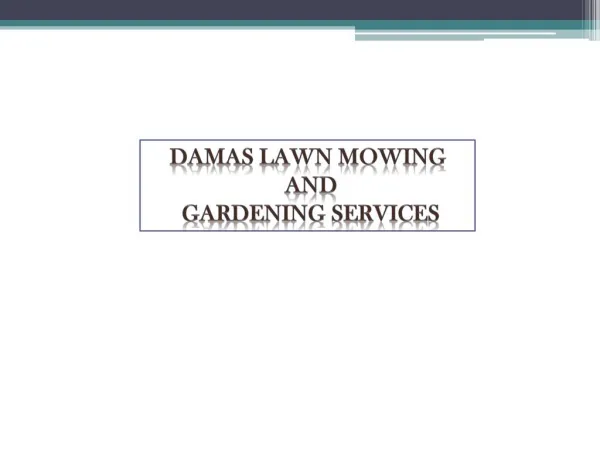 Find the High Quality Gardening Services in Parramatta