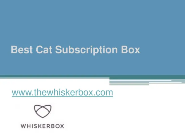 Best Cat Subscription Box - www.thewhiskerbox.com