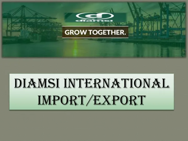 Diamsi International Import/Export