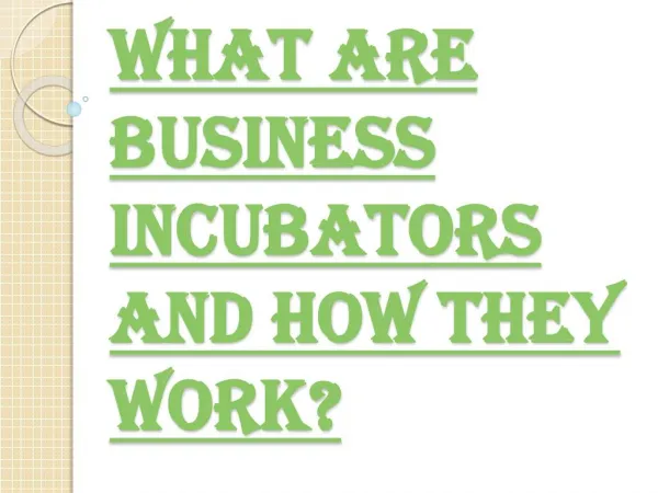 Working of Business Incubators