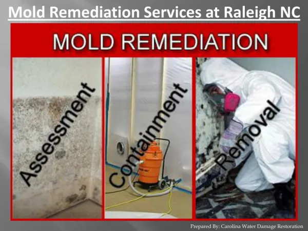 Mold Remediation Services at Raleigh NC - Carolina Water Damage Restoration