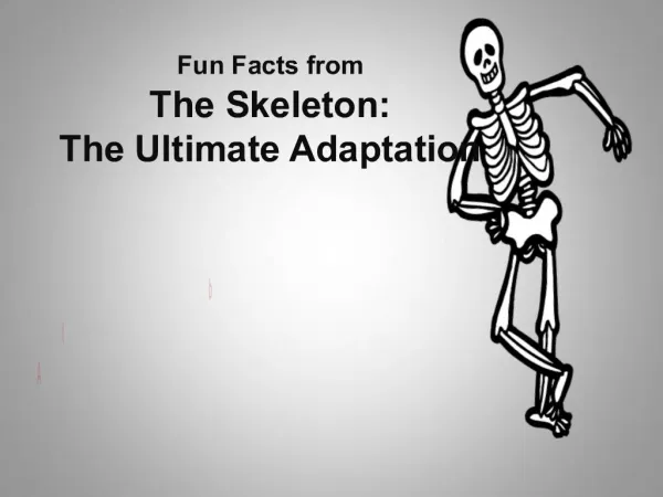 Fun Facts from The Skeleton: The Ultimate Adaptation