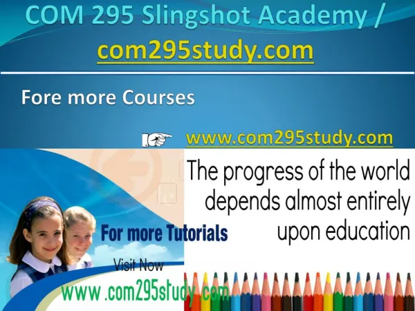 COM 295 Slingshot Academy / com295study.com