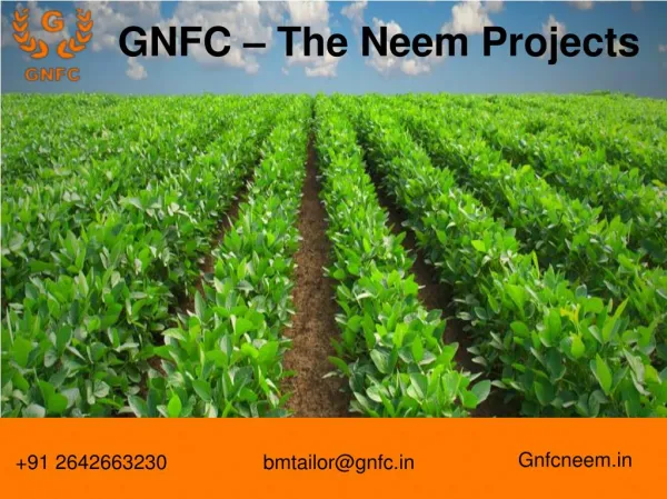 Neem oil Use in Agriculture and Herbal Medicine