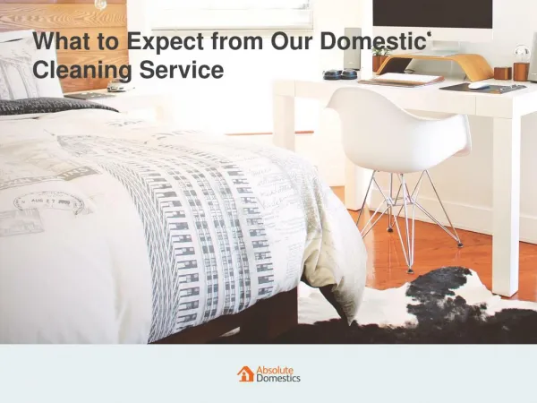 What to Expect from Our Cleaning Service | Absolute Domestics