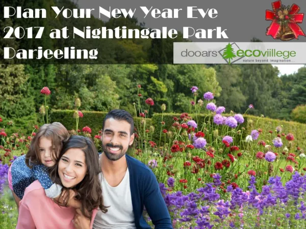 Plan Your New Year Eve 2017 at Nightingale Park Darjeeling