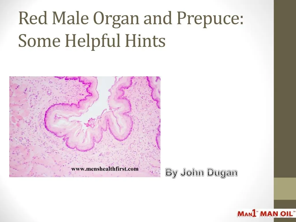 red male organ and prepuce some helpful hints
