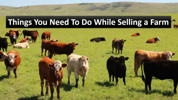 Things You Need To Do While Selling a Farm