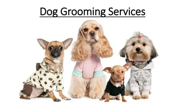 Dog Grooming Services