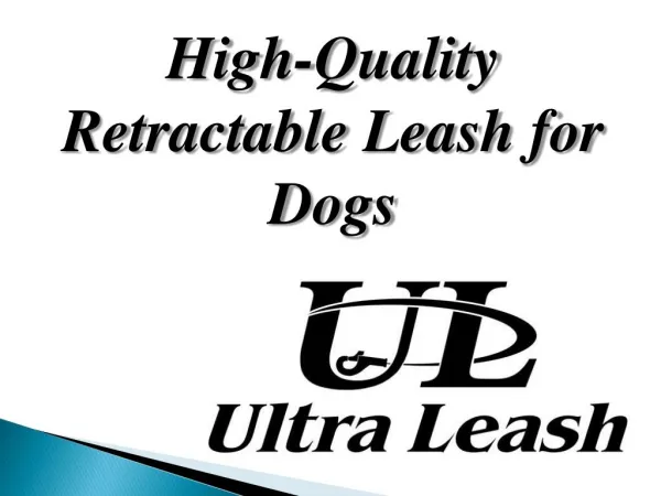 High-Quality Retractable Leash for Dogs