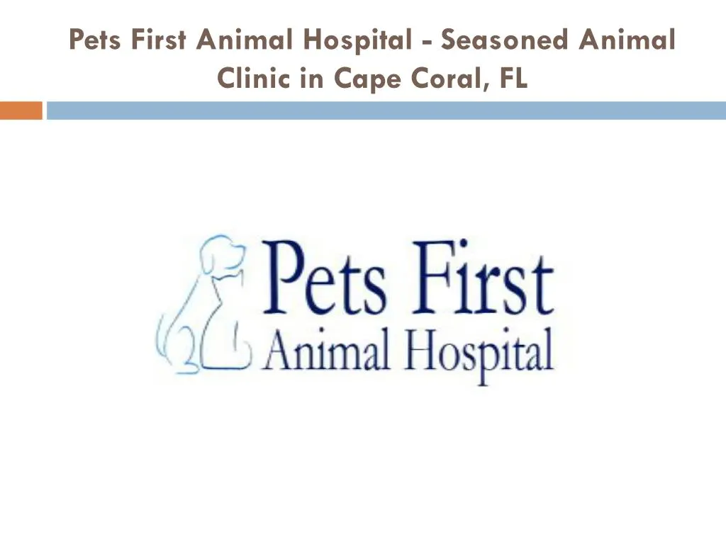 pets first animal hospital seasoned animal clinic in cape coral fl