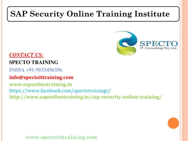 Best Online SAP SECURITY Course Training Institute in India