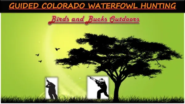 Guided Waterfowl Hunting in Colorado