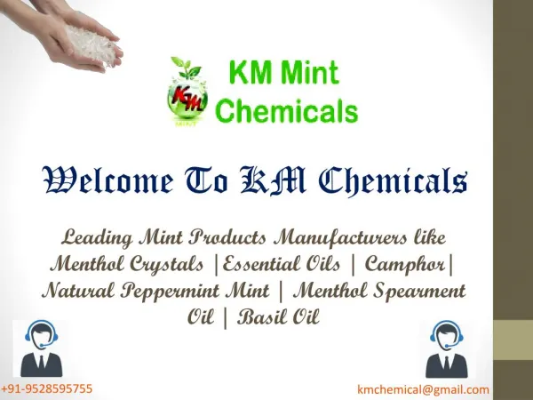 Natural Menthol Crystals Manufacturers