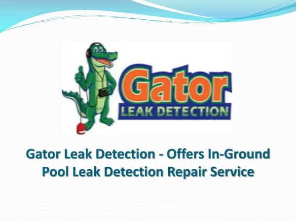 Gator Leak Detection - Offers In-Ground Pool Leak Detection Repair Service